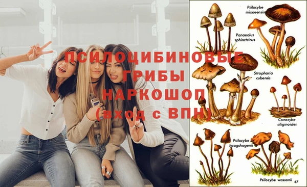 кокаин перу Липки