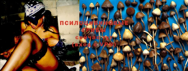 круглые Ладушкин