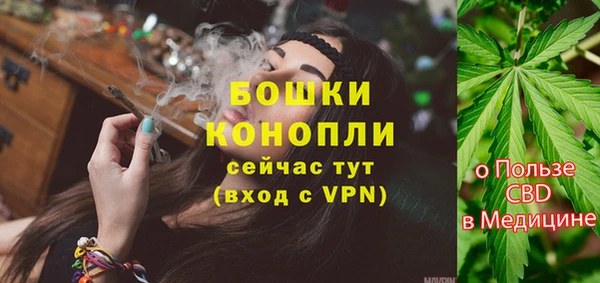 дживик Лихославль