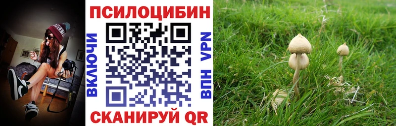 Псилоцибиновые грибы MAGIC MUSHROOMS  кракен онион  Чехов  что такое наркотик 